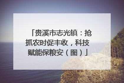 贵溪市志光镇：抢抓农时促丰收，科技赋能保粮安（图）