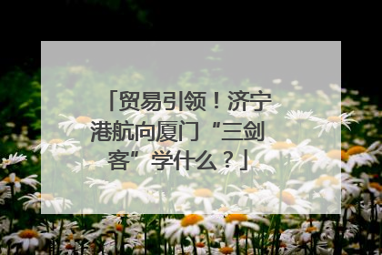 贸易引领！济宁港航向厦门“三剑客”学什么？