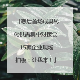 赛后首场成果转化供需集中对接会 15家企业现场拍板：让我来！