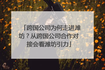 跨国公司为何走进潍坊？从跨国公司合作对接会看潍坊引力