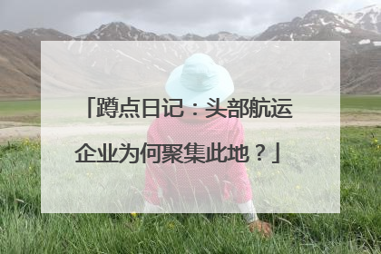蹲点日记：头部航运企业为何聚集此地？