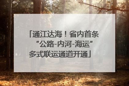 通江达海！省内首条“公路-内河-海运”多式联运通道开通