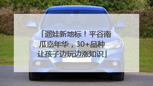 遛娃新地标！平谷南瓜嘉年华，30+品种让孩子边玩边涨知识
