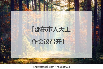 邵东市人大工作会议召开
