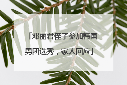 邓丽君侄子参加韩国男团选秀，家人回应