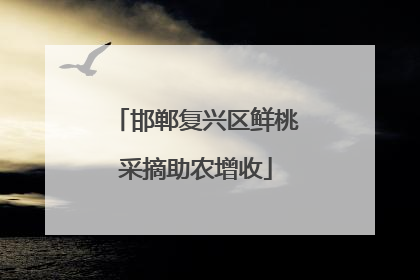 邯郸复兴区鲜桃采摘助农增收
