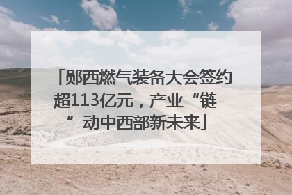 郧西燃气装备大会签约超113亿元，产业“链”动中西部新未来