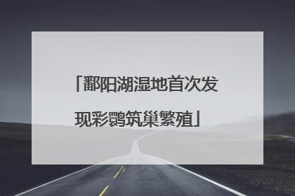 鄱阳湖湿地首次发现彩鹮筑巢繁殖