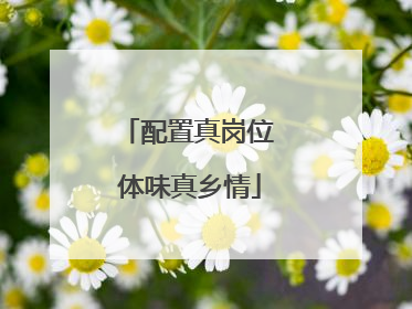 配置真岗位 体味真乡情