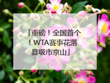 重磅！全国首个！WTA赛事花落县级市京山