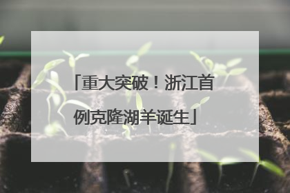 重大突破！浙江首例克隆湖羊诞生