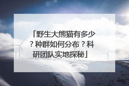 野生大熊猫有多少？种群如何分布？科研团队实地探秘