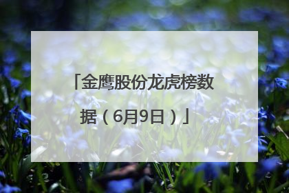 金鹰股份龙虎榜数据（6月9日）