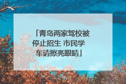 青岛两家驾校被停止招生 市民学车请擦亮眼睛