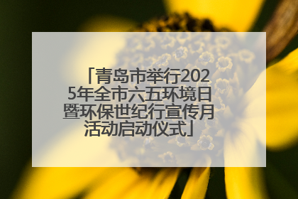 青岛市举行2025年全市六五环境日暨环保世纪行宣传月活动启动仪式