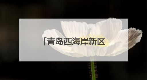 青岛西海岸新区大场镇：麦浪翻滚穗飘香 守护粮安好“丰景”