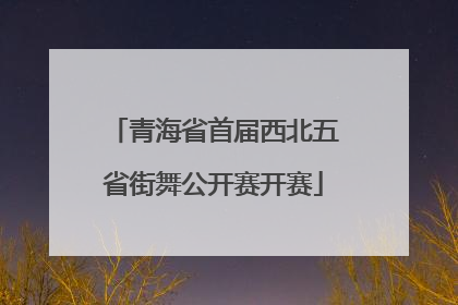 青海省首届西北五省街舞公开赛开赛