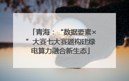 青海：“数据要素×”大赛七大赛题构建绿电算力融合新生态