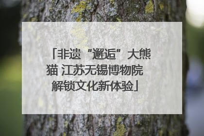 非遗“邂逅”大熊猫 江苏无锡博物院解锁文化新体验