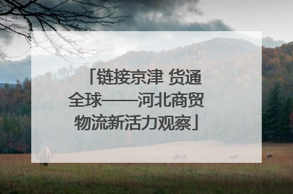 链接京津 货通全球——河北商贸物流新活力观察