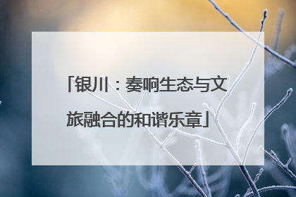 银川：奏响生态与文旅融合的和谐乐章