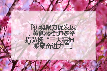 铸魂聚力促发展，黄鹤楼街道多举措弘扬“三大精神”凝聚奋进力量