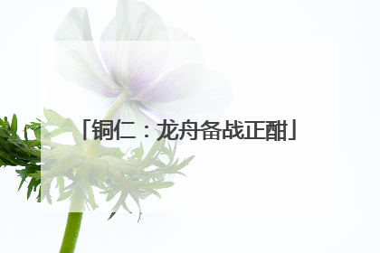 铜仁：龙舟备战正酣