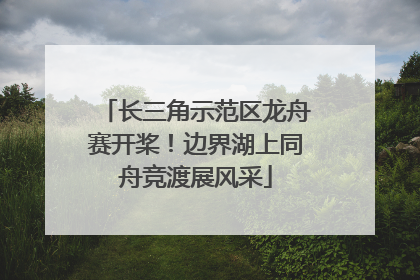 长三角示范区龙舟赛开桨！边界湖上同舟竞渡展风采