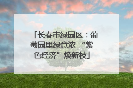 长春市绿园区：葡萄园里绿意浓 “紫色经济”焕新枝