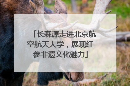 长森源走进北京航空航天大学，展现红参非遗文化魅力