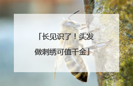 长见识了！头发做刺绣可值千金