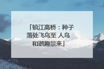 镇江高桥：种子落处飞鸟至 人鸟和谐趣景来