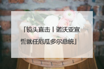 镜头直击丨诺沃亚宣誓就任厄瓜多尔总统