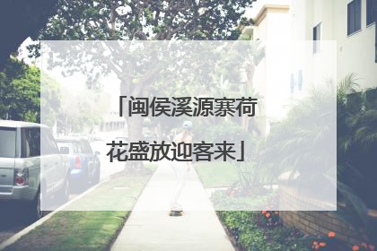 闽侯溪源寨荷花盛放迎客来