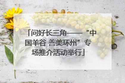 问好长三角——“中国羊谷 善美环州”专场推介活动举行