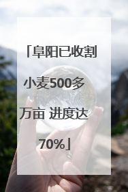 阜阳已收割小麦500多万亩 进度达70%