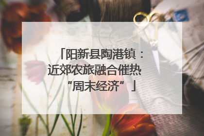 阳新县陶港镇：近郊农旅融合催热“周末经济”