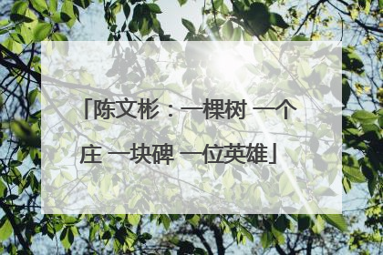 陈文彬：一棵树 一个庄 一块碑 一位英雄