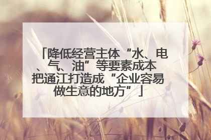 降低经营主体“水、电、气、油”等要素成本 把通江打造成“企业容易做生意的地方”