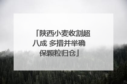 陕西小麦收割超八成 多措并举确保颗粒归仓