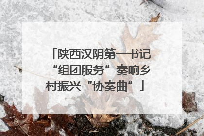 陕西汉阴第一书记“组团服务”奏响乡村振兴“协奏曲”