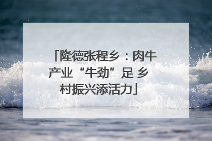 隆德张程乡：肉牛产业“牛劲”足 乡村振兴添活力