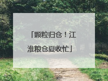颗粒归仓！江淮粮仓夏收忙
