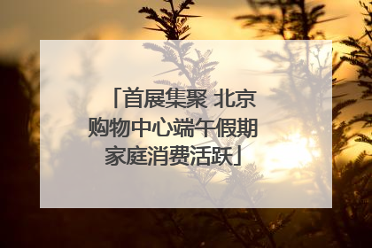 首展集聚 北京购物中心端午假期家庭消费活跃