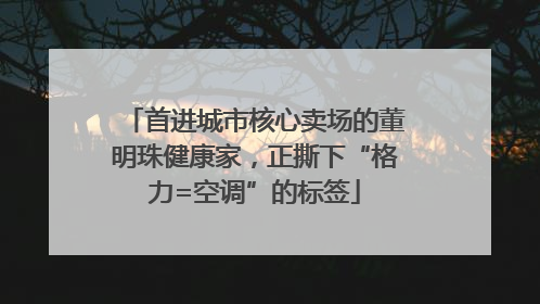 首进城市核心卖场的董明珠健康家，正撕下“格力=空调”的标签