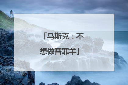 马斯克：不想做替罪羊