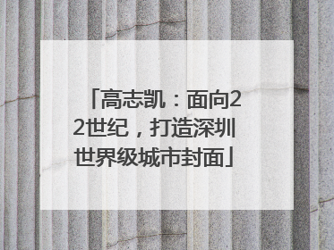 高志凯：面向22世纪，打造深圳世界级城市封面
