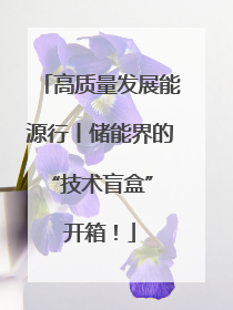 高质量发展能源行丨储能界的“技术盲盒” 开箱！