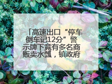 高速出口“停车倒车记12分”警示牌下竟有多名商贩卖水瓢，镇政府：系流动摊位，已多次劝离
