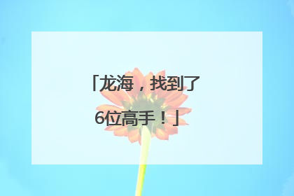龙海，找到了6位高手！